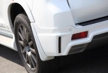 Комплект задних брызговиков для Toyota LC150 Prado 13+
